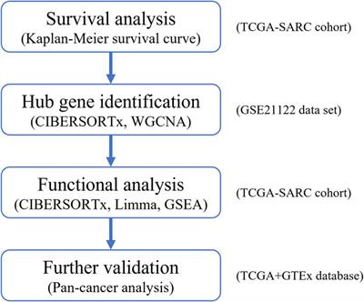 Identification of hub genes correlated with tumor-associated M1-like macrophage infiltration in soft tissue sarcomas